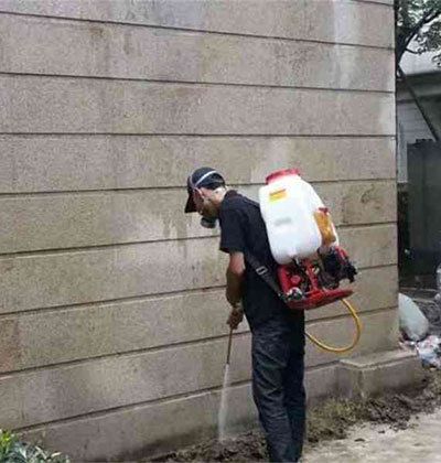 成都上門滅蟑螂，成都專業(yè)滅蟑螂