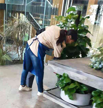 都江堰日常保潔，南充日常保潔，簡陽日常保潔，新都日常保潔
