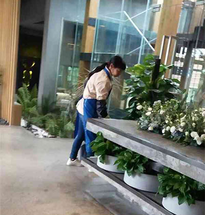 郫都區(qū)日常保潔，郫縣日常保潔，龍泉日常保潔，溫江日常保潔